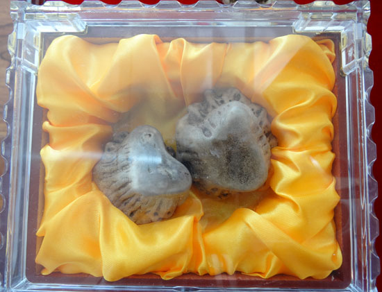 ¹��ñ��¹����