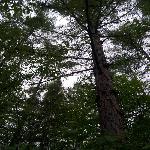 ����ɽ��Ȼ���