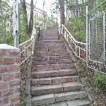 ����ɽ��Ȼ���